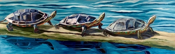 Painted Turtles